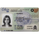 Ohio CDL Ohio CDL
